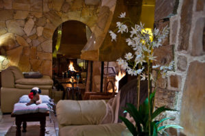Hôtel Les Ancolies - Salon